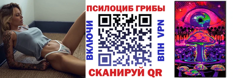 даркнет официальный сайт  где купить наркоту  Устюжна  Галлюциногенные грибы MAGIC MUSHROOMS 