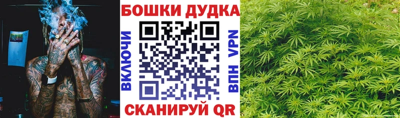 Канабис сатива  кракен ONION  Устюжна  где продают  
